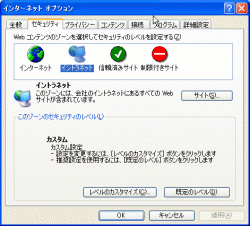�C���^�[�l�b�g�I�v�V�����i�Z�L�����e�B���x���J�X�^���j