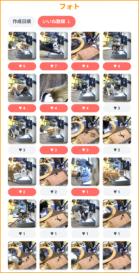 フォトコーナー